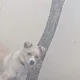나이키