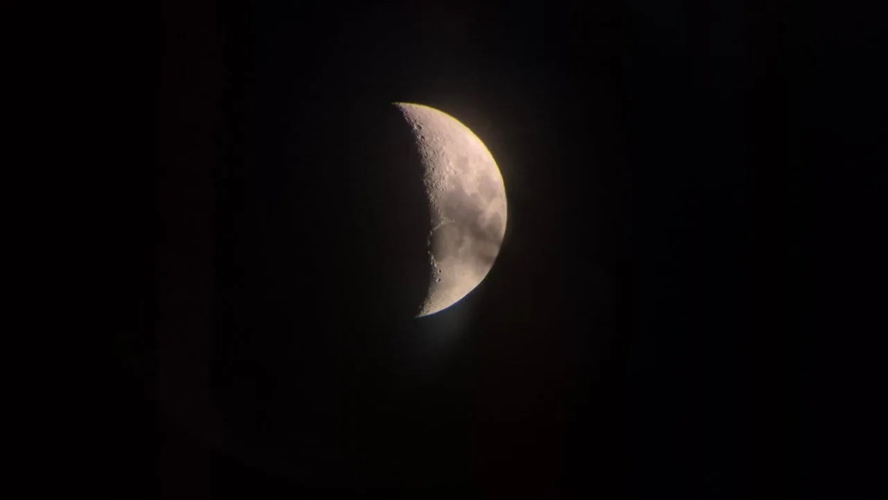 펭펭