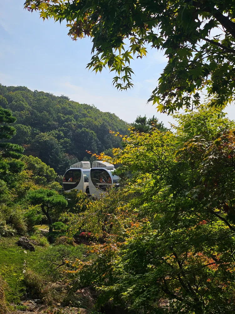 퀘렌시아
