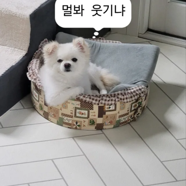 낭운