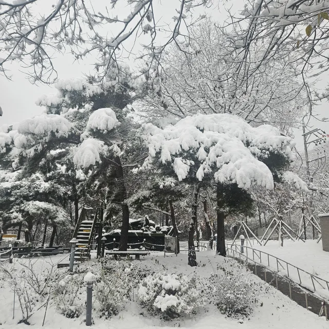 63년비전동