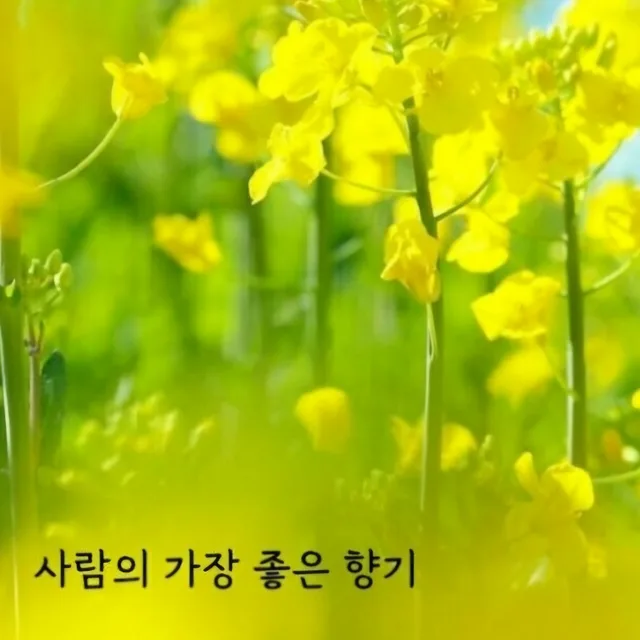향기