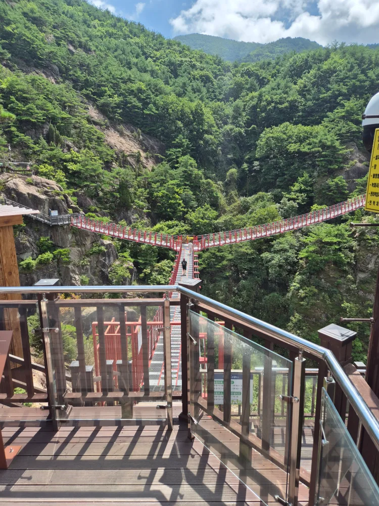 단풍