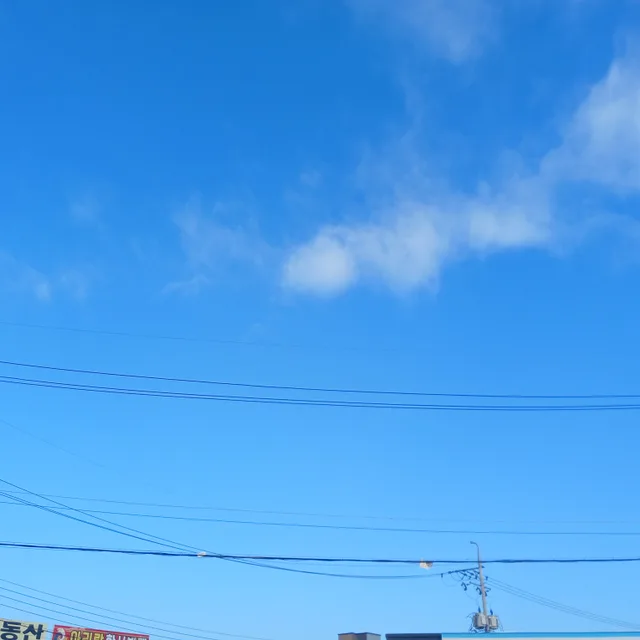 공룡핑