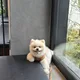 뭄뭄