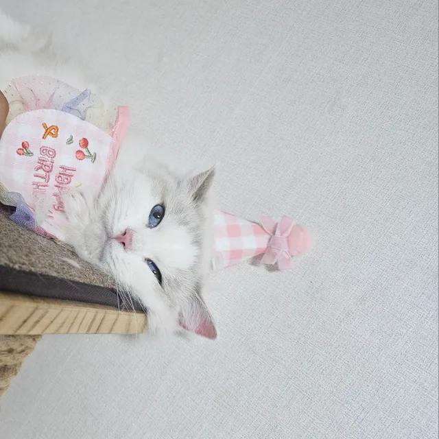 하이티