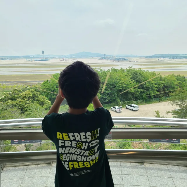 날아라수