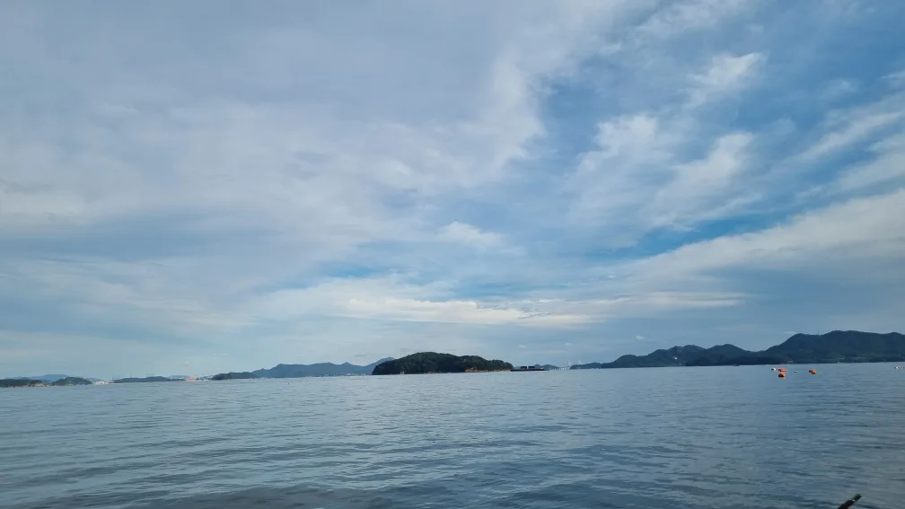 늘푸른