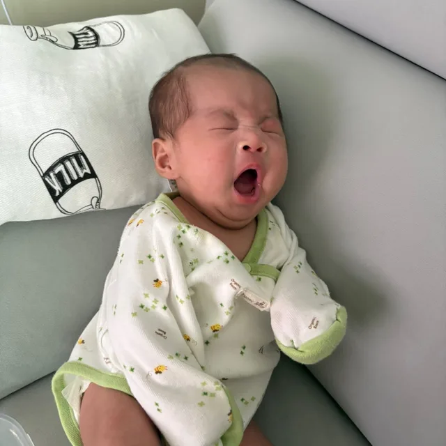 쏠이아빠