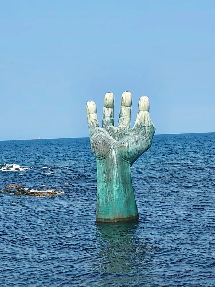 더샤브러