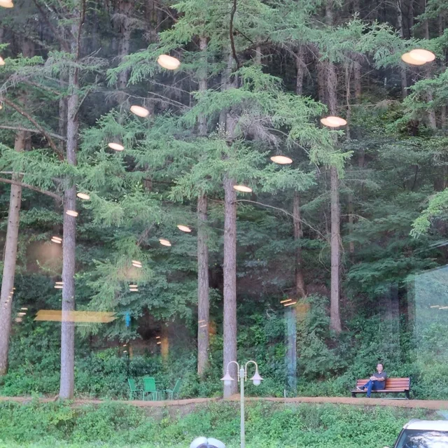 갤러리
