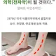 로뎀나무