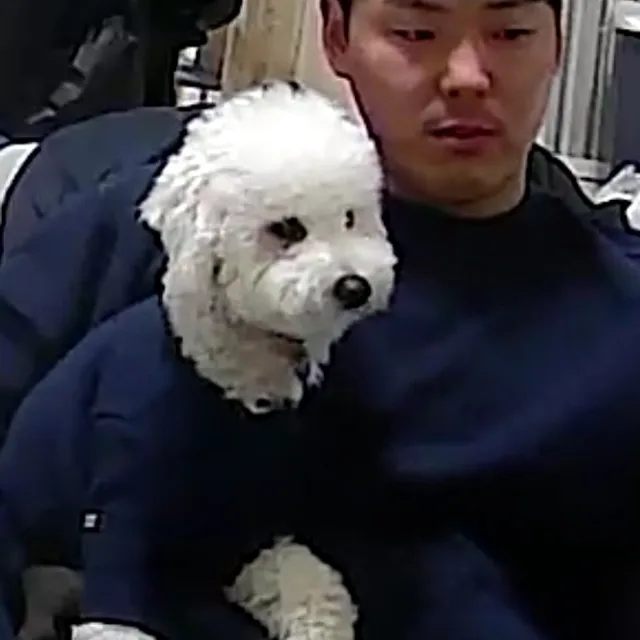아아진하게요
