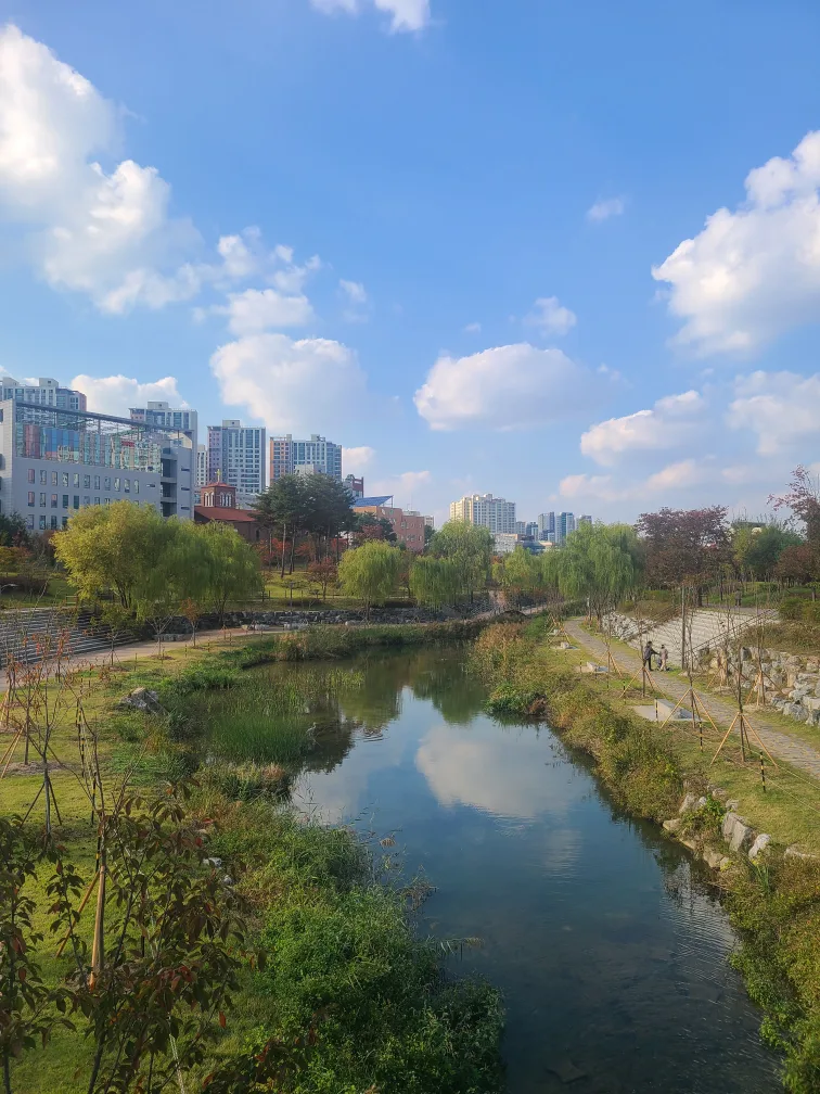야호돌이