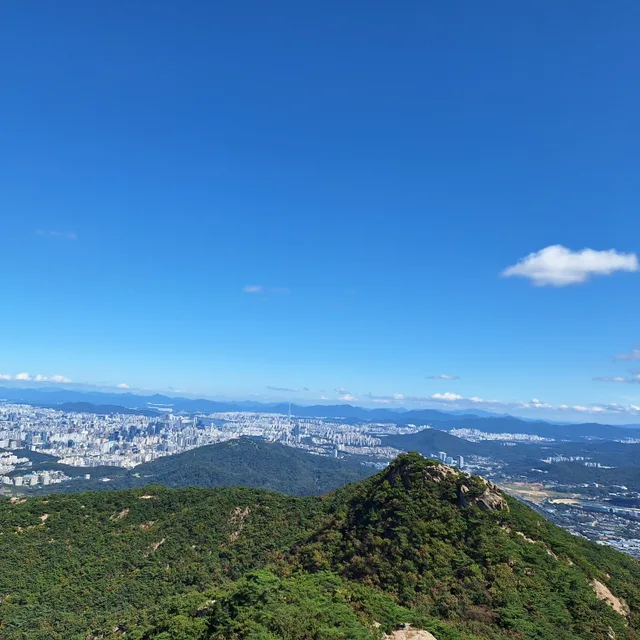 아나바다78