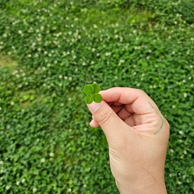 해책산