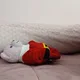 꼼돌이