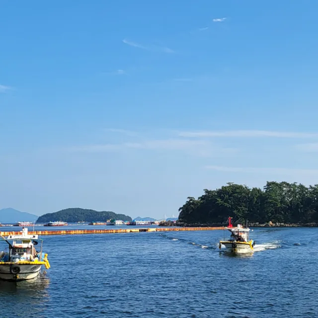 달쿵