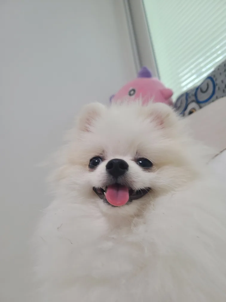 바사삭