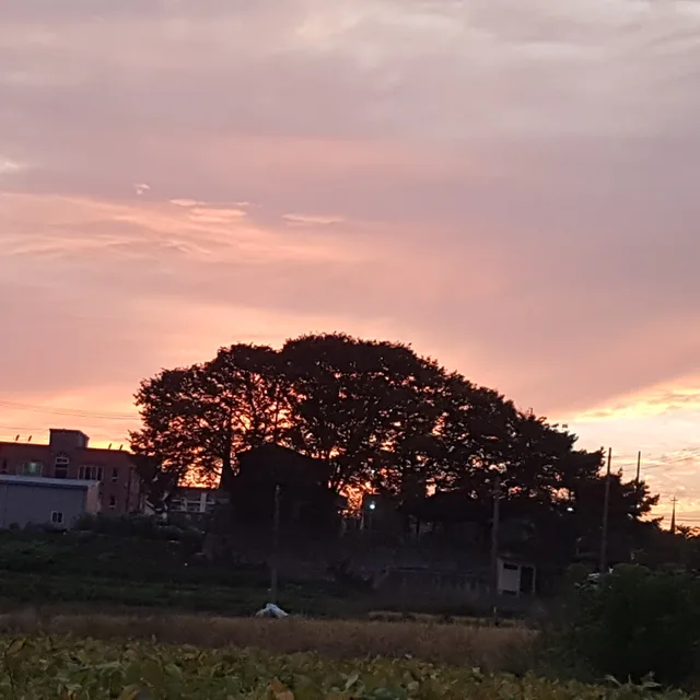 아짐