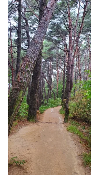 필립