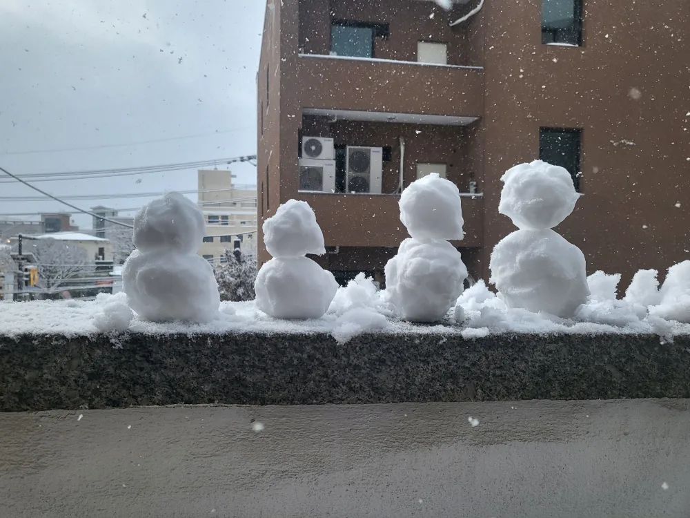 열무보리밥
