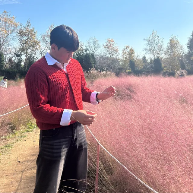 당근당근