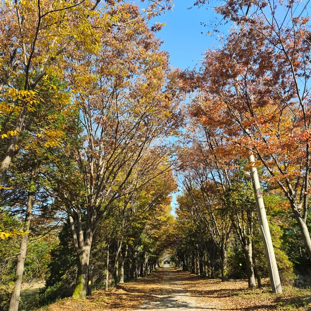 당근쥬스