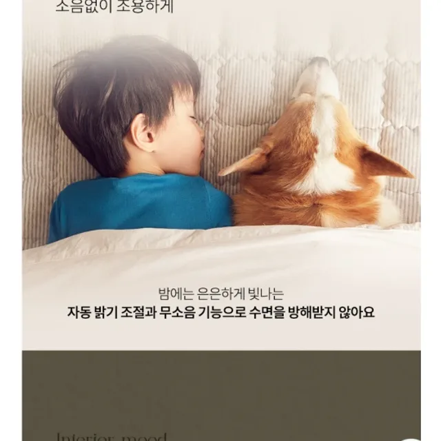 빌드업