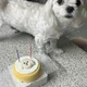 진이