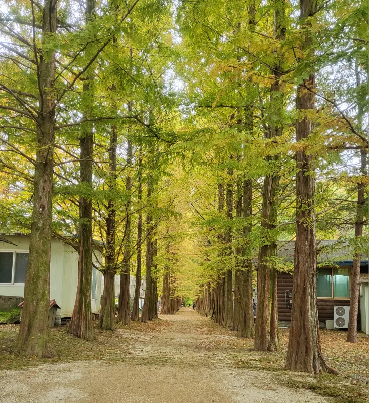 신용