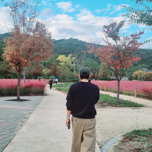슬기로운당근생활