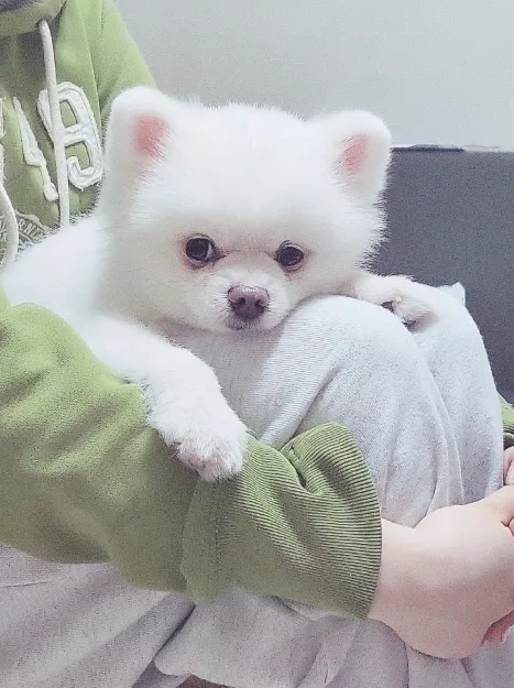 황당무