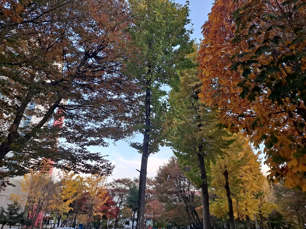 별빛윤