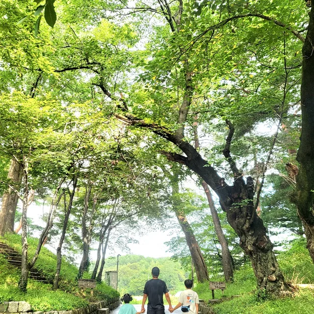 시시파파