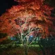 솔루션