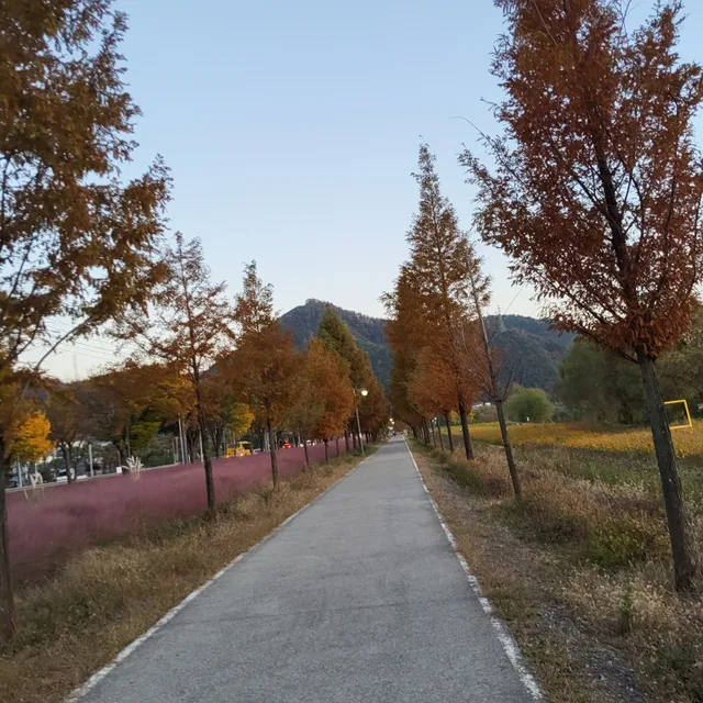 해피