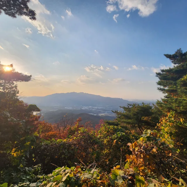 삼닉