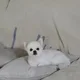 땡이땡이
