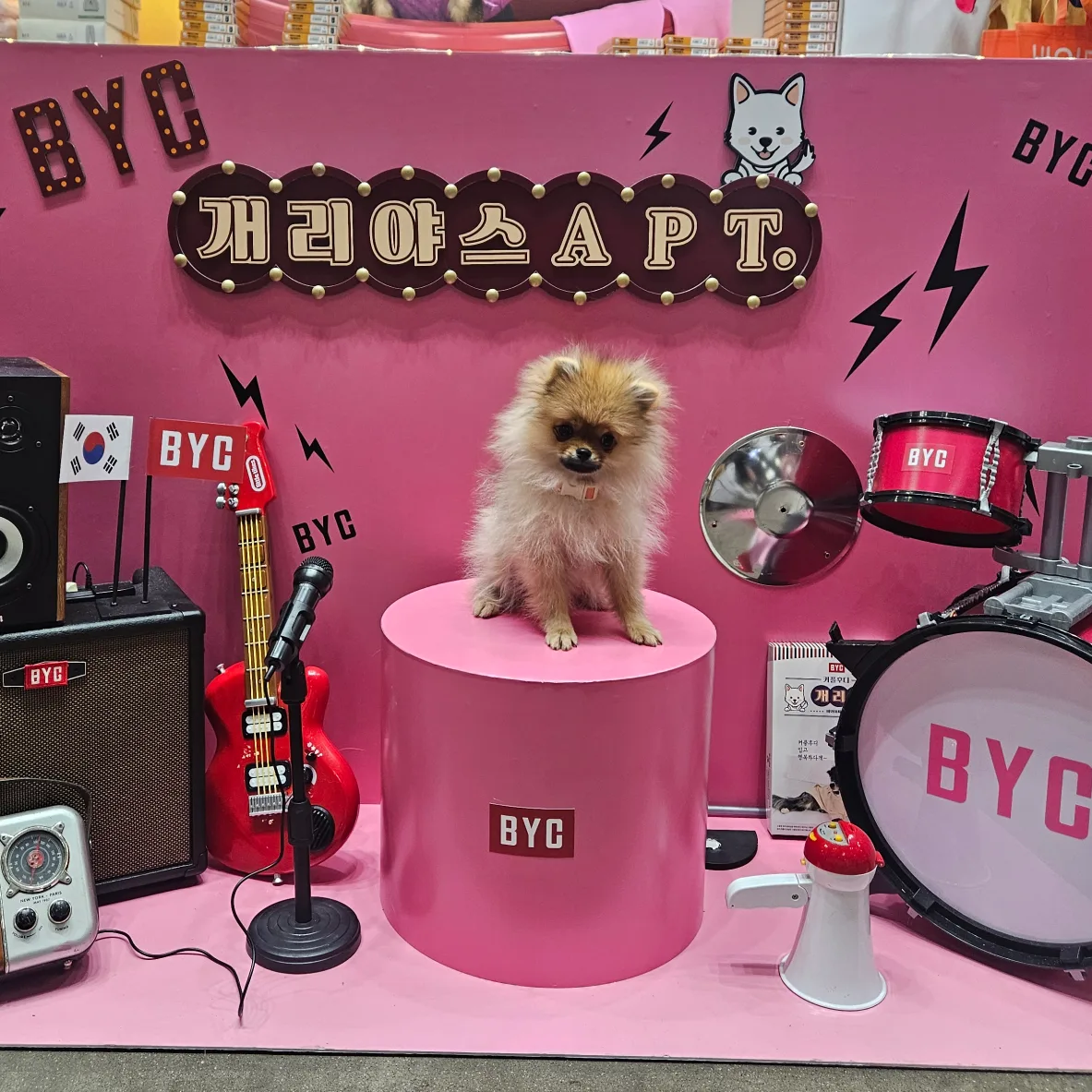맹맹댁