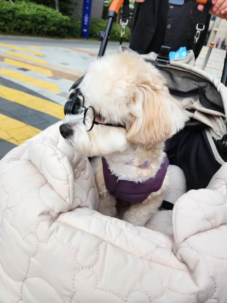 멍지