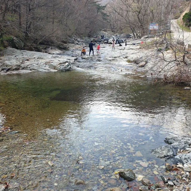 낙화유수