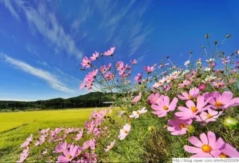진주에어컨청소쿨홈케어