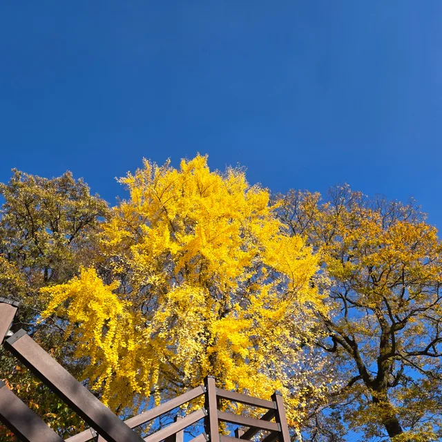 이슬톡톡