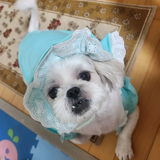 조용조용