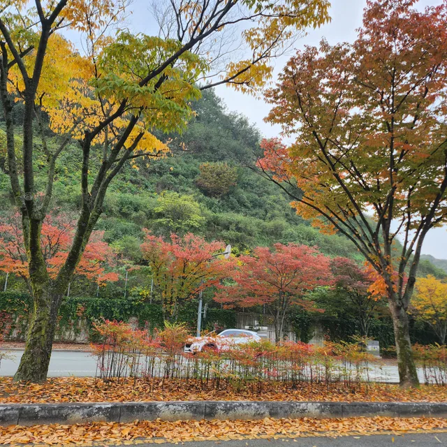 가을가을