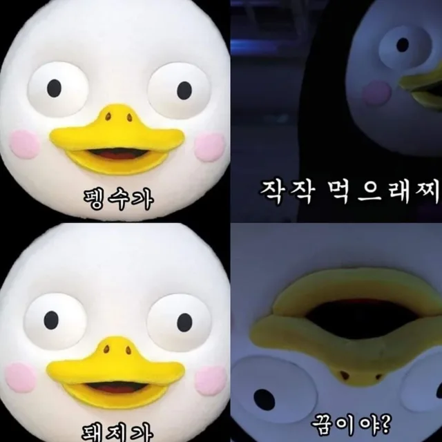 돼끼두마리