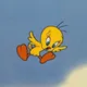 Tweety312