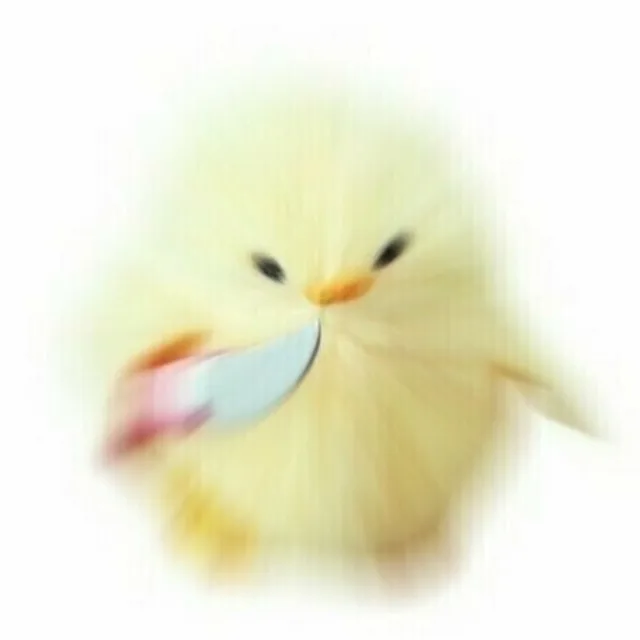 voooo