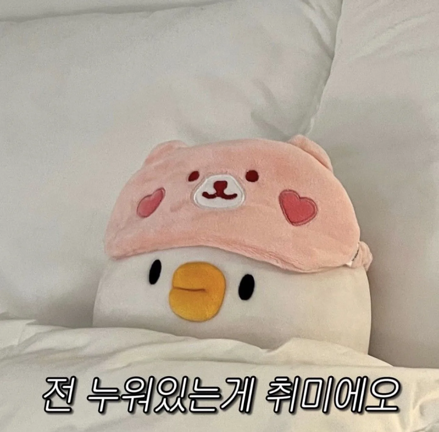 다이노